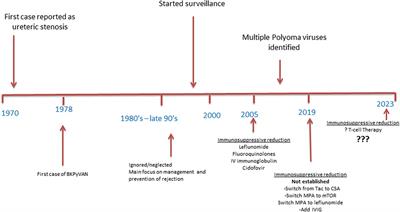 BK polyomavirus infection: more than 50 years and still a threat to kidney transplant recipients